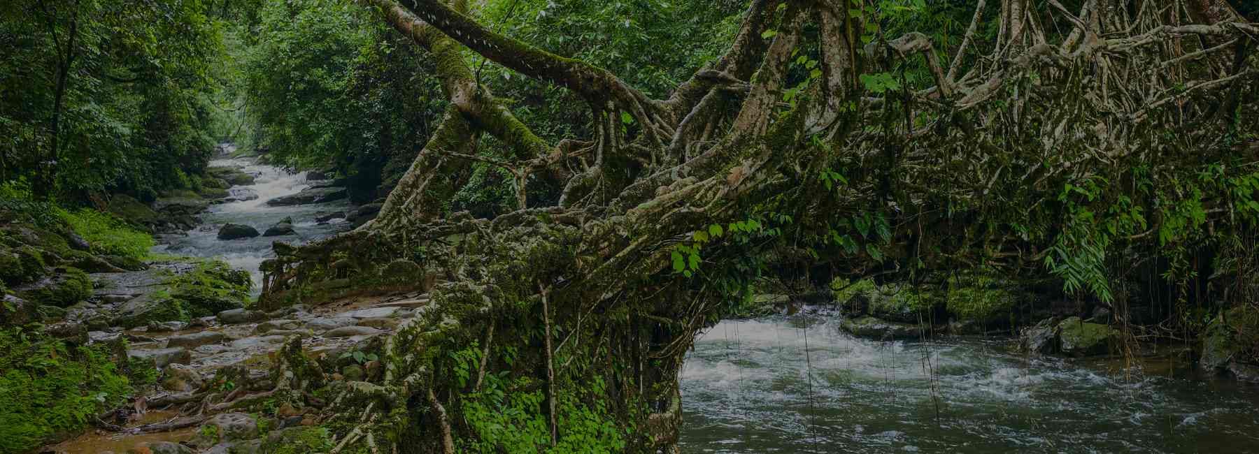 Meghalaya Family Explorer | FREE Kayaking Adventure