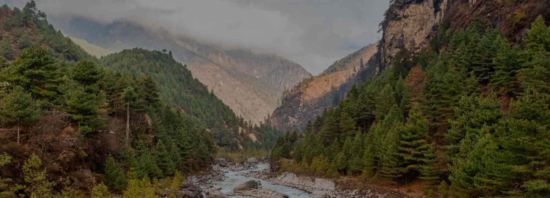 Shimla, Jibhi & Manali Family Tour Packages