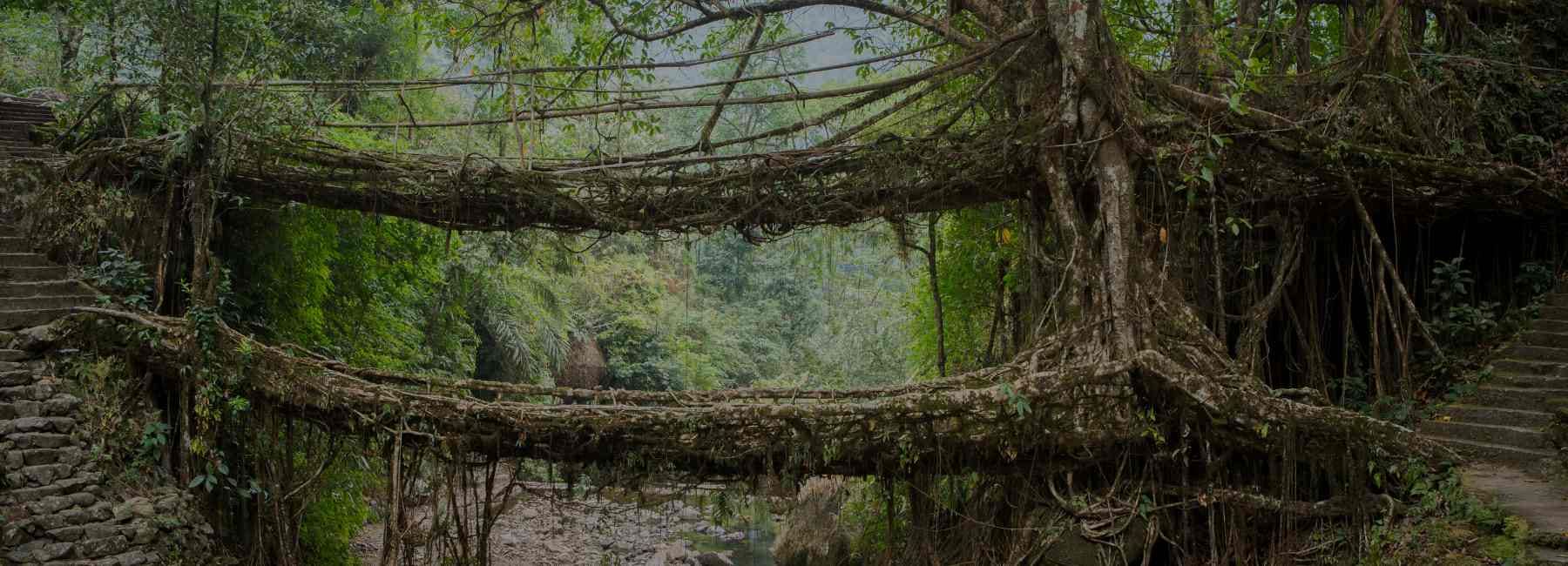 Emerald Trails of Love – A Romantic Meghalaya Escape with Elephant Falls