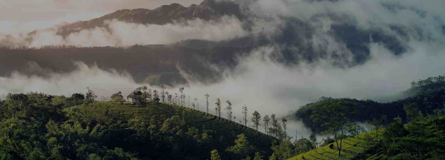 Kerala Group Trip: 6 Days of Hills, Lakes & Backwater Fun