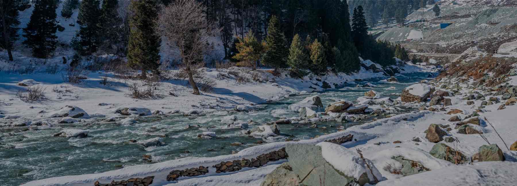 Mountains & Meadows Family Escape – A Complete Kashmir Holiday