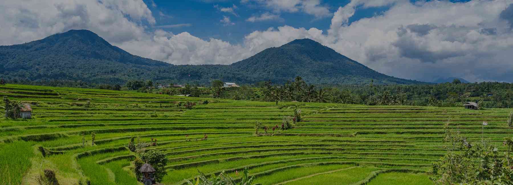 6 Days Amazing Bali Trip with Nusa Penida | Islands, Temples & Shared Adventures