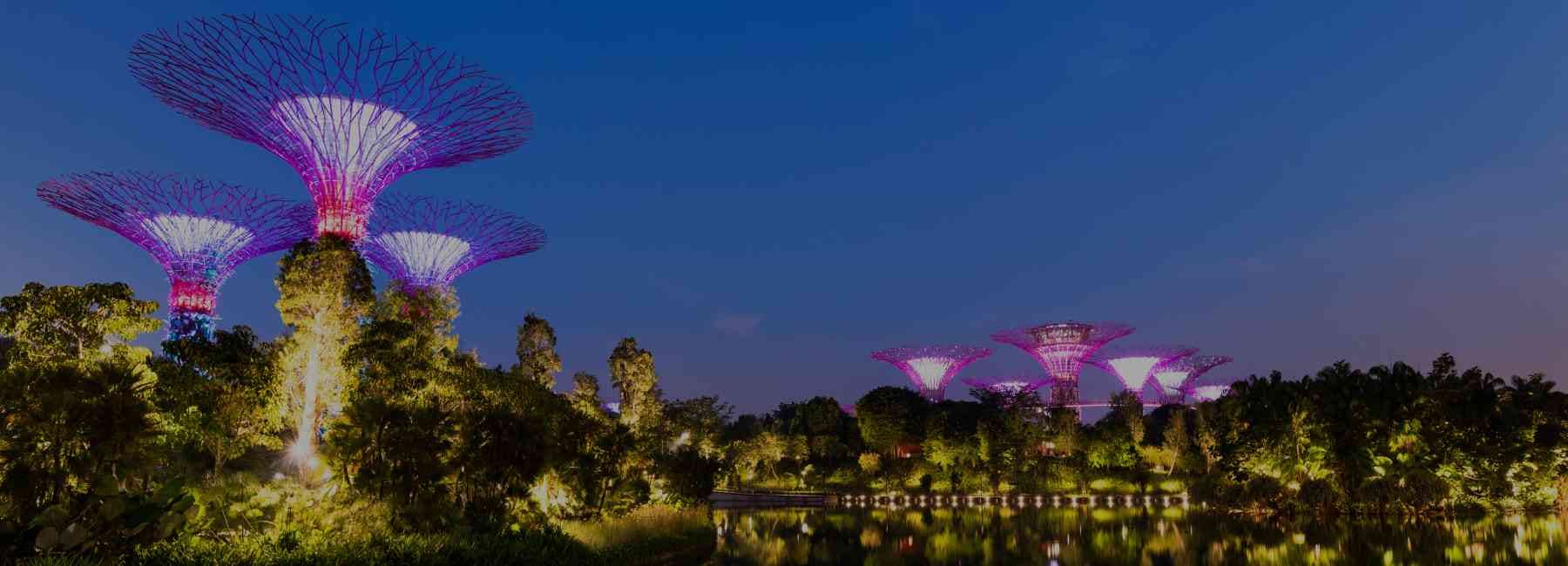 Singapore Group Trip: 5 Days of Fun, Thrills & Memories