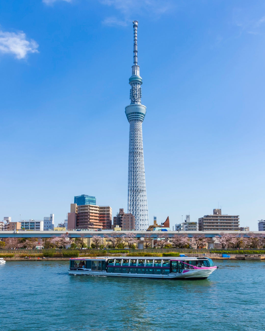 8 Days / 7 Nights | Japan Discovery – Tokyo, Mt. Fuji, Kyoto & Osaka