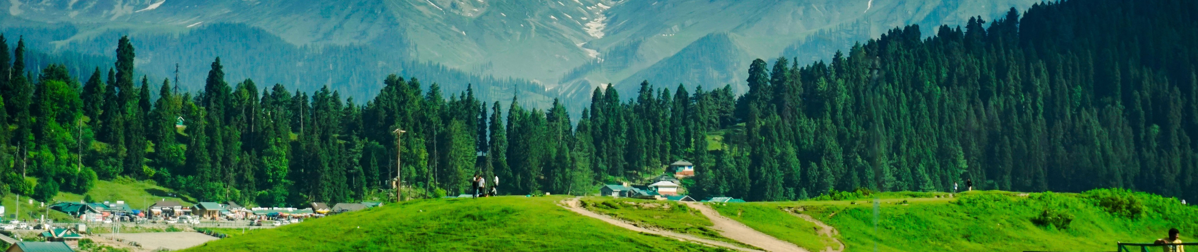 Forever in the Valley - Best of Kashmir Romantic Escape with Shikara Ride