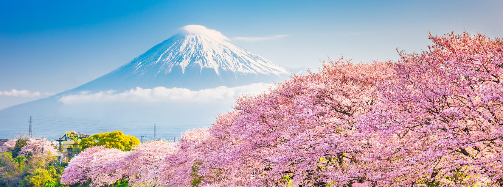 Japan Family Discovery | From Mount Fuji to Kyoto