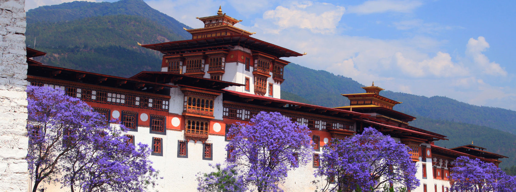 Bhutan Unplugged: A Shared Horizon Experience