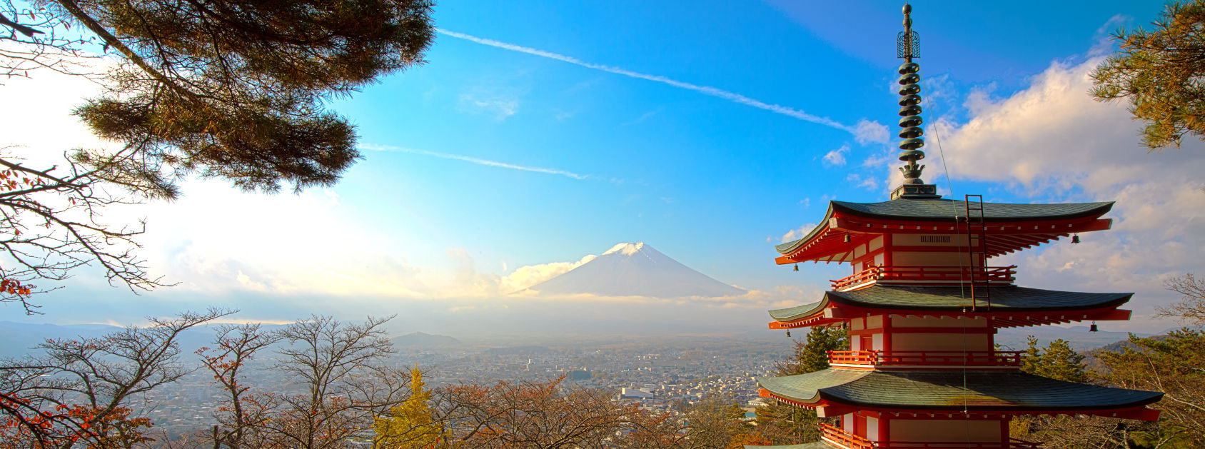 Japan Wonders | Love Amidst Cherry Blossoms & City Lights