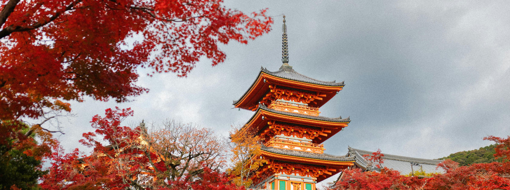 Japan Family Wonders | Cherry Blossoms, Theme Parks & Unforgettable Memories