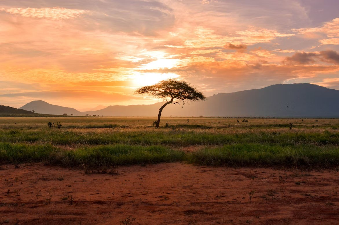 Tsavo East and Amboseli