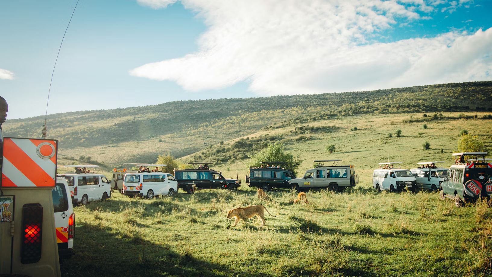 Maasai Mara, Lake Nakuru, Amboseli, Tsavo West, and Tsavo East