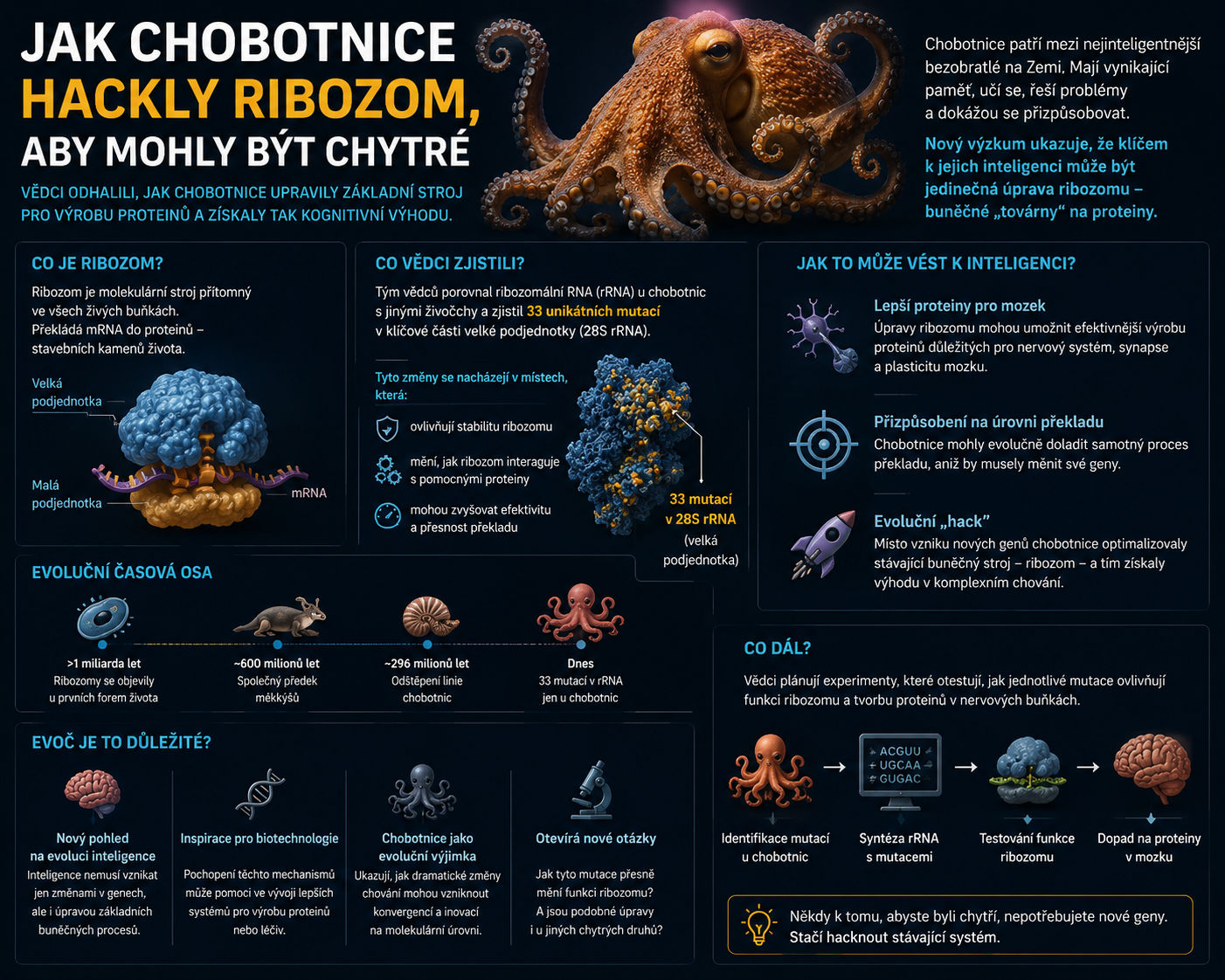 [Obrázek: Chobotnice]