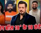 These are the 18 contestants of Salman Khan's 'Bigg Boss', see the full list here