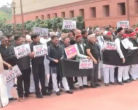 राहुल गांधी संसद प्रदर्शन