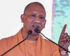 Yogi Government