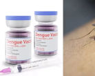 Dengue Vaccine