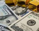 Forex reserves