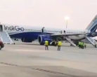 IndiGo