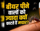 बीयर पीने वालों को ज्यादा क्यों काटते हैं मच्छर? रिसर्च में हुआ चौंकाने वाला खुलासा