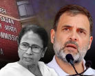 ममता बनर्जी के साथ राहुल गांधी