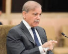 Pakistan Senate Committee