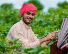 PM Kisan Yojana