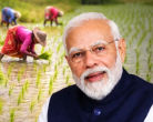 पीएम किसान योजना: 22वीं किस्त पर बड़ा अपडेट, इस दिन आ सकते हैं ₹2000