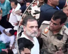 Congress Protest