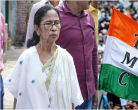 टीएमसी ऑडिट रिपोर्ट