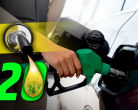 E-20 Petrol