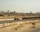 Iran Bypasses US Blockade: Rail Exports To China And Pakistan Surge