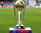 World Cup