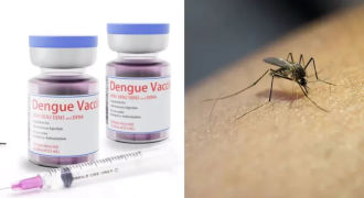 Dengue Vaccine