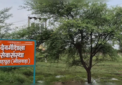 Dev Gaushala Seva Sansthan