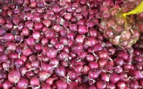 India will send onions to these 6 countries despite the ban, hence this decision was taken