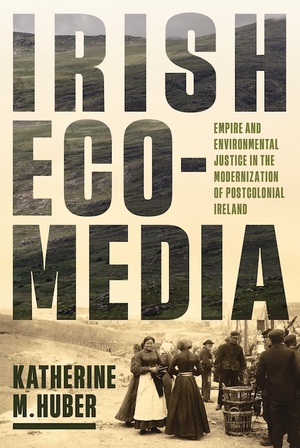 Cover for Irish Ecomedia
