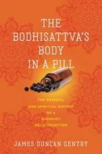 cover of The Bodhisattva’s Body in a Pill