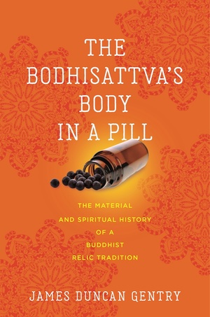 Cover for The Bodhisattva’s Body in a Pill