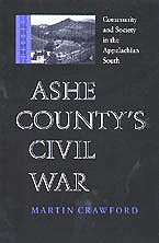 Cover for Ashe County's Civil War