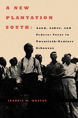 Cover for A New Plantation South