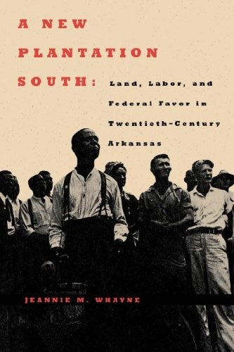 Cover for A New Plantation South