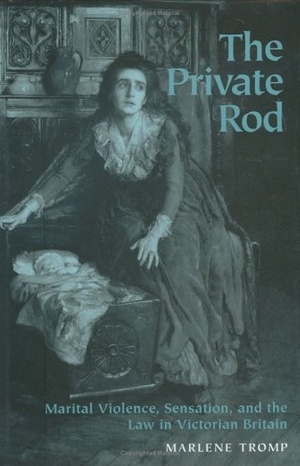 Cover for The Private Rod
