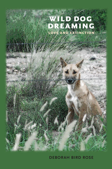 Cover for Wild Dog Dreaming