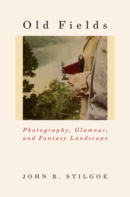 Cover for Old Fields