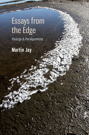 Cover for Essays from the Edge