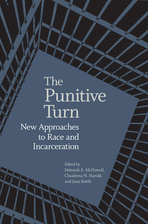 cover of The Punitive Turn