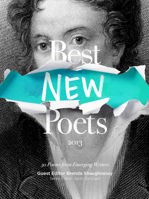 Cover for Best New Poets 2013