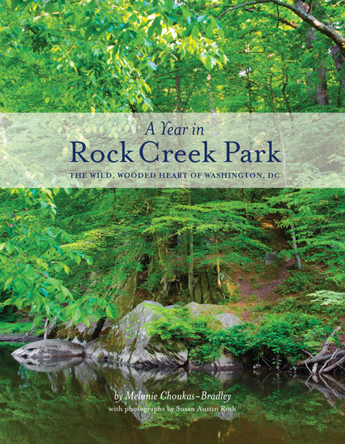 Cover for A Year in Rock Creek Park