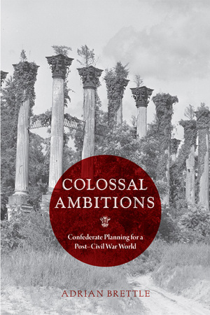 Cover for Colossal Ambitions
