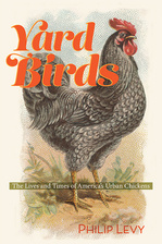 cover of Yard Birds